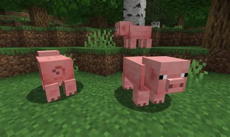 Minecraft Pig Back