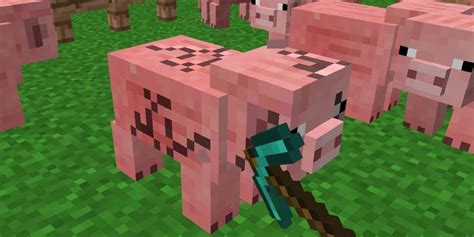 Minecraft Pig Cursed