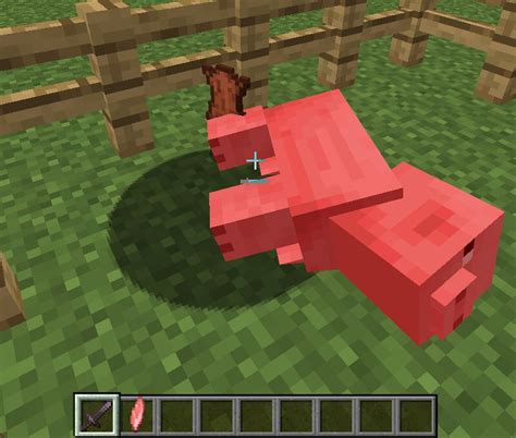 Minecraft Pig Dead