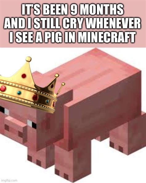 Minecraft Pig Dies Meme