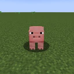 Minecraft Pig Eyes