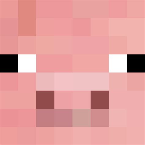 Minecraft Pig Face