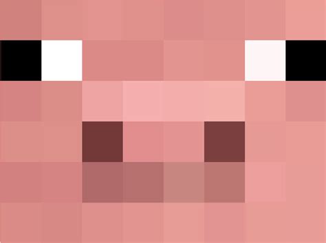 Minecraft Pig Face Png