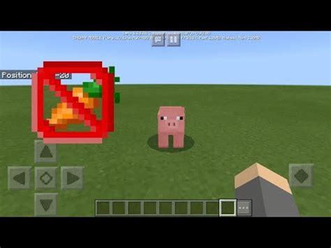 Minecraft Pig Follow You