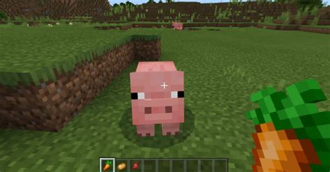 Minecraft Pig Food