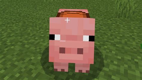 Minecraft Pig Front View