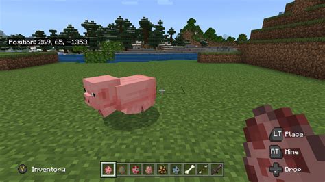 Minecraft Pig Game