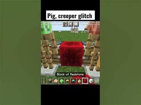 Minecraft Pig Glitch Creeper
