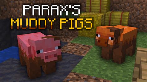 Minecraft Pig In Mud