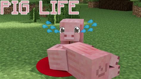 Minecraft Pig Life
