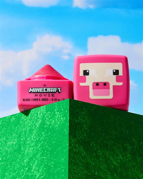 Minecraft Pig Makeup