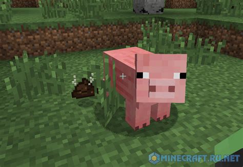 Minecraft Pig Manure