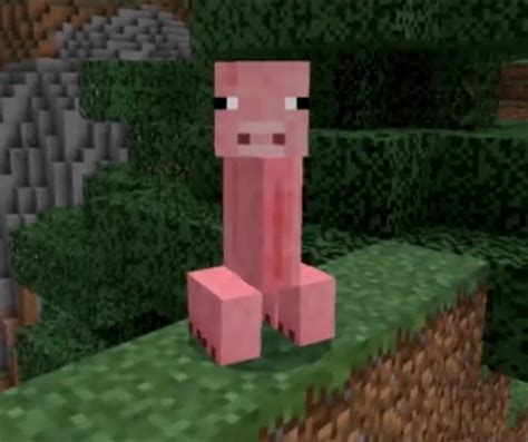 Minecraft Pig Meme
