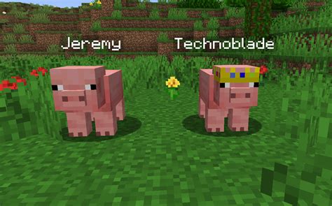 Minecraft Pig Name Tag