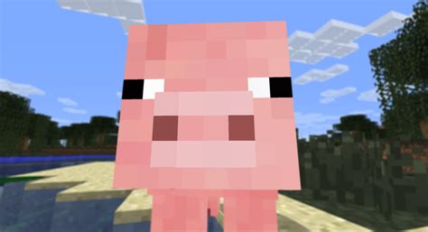 Minecraft Pig Nose