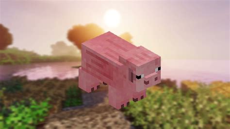 Minecraft Pig Oink