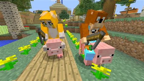Minecraft Pig Race