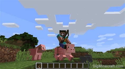 Minecraft Pig Riding