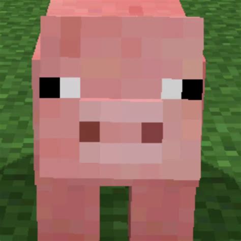 Minecraft Pig Sound Download