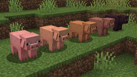 Minecraft Pig Texture