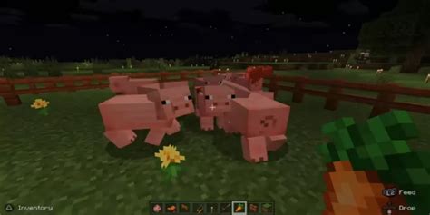 Minecraft Pigs Mating