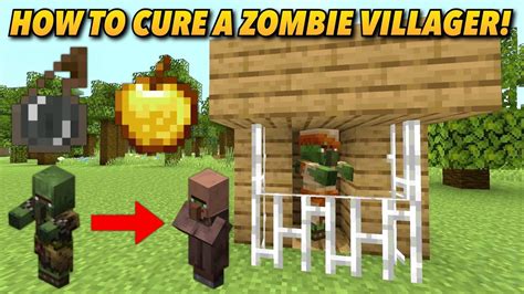 Minecraft Ps4 Zombie Villager Cure