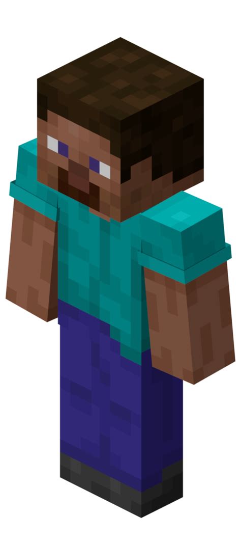 Minecraft Steve Back