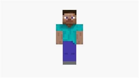Minecraft Steve Character