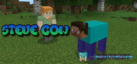Minecraft Steve Cow
