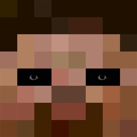Minecraft Steve Eyes