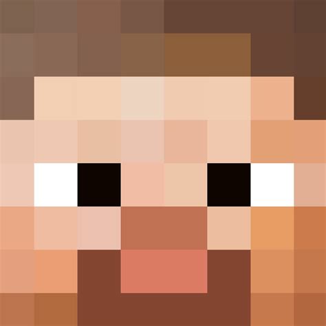 Minecraft Steve Face