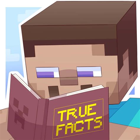 Minecraft Steve Facts