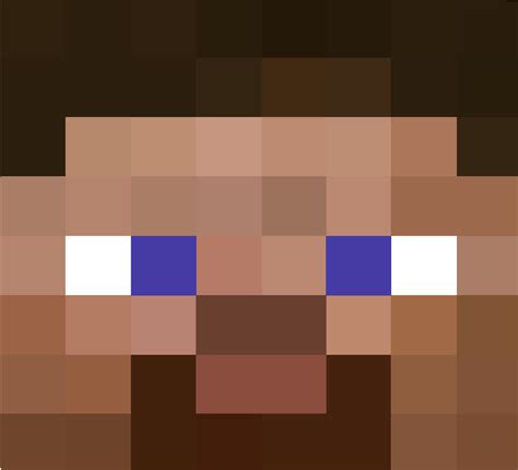 Minecraft Steve Head