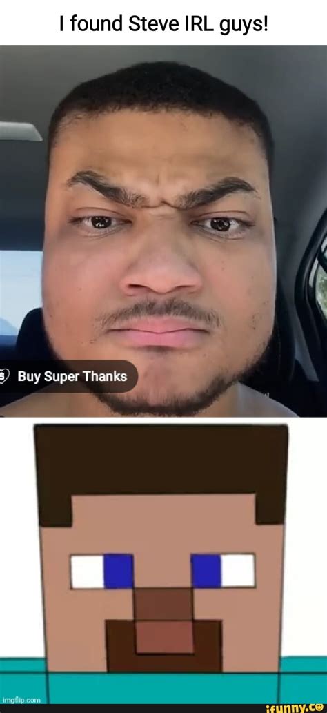 Minecraft Steve Irl Meme