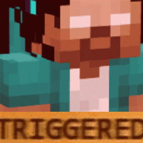 Minecraft Steve Triggered