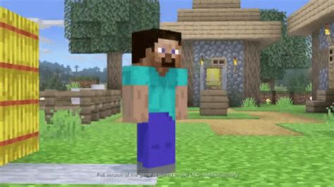 Minecraft Steve Walking Gif