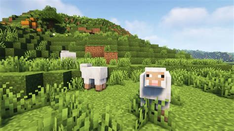 Minecraft Wallpaper Sheep