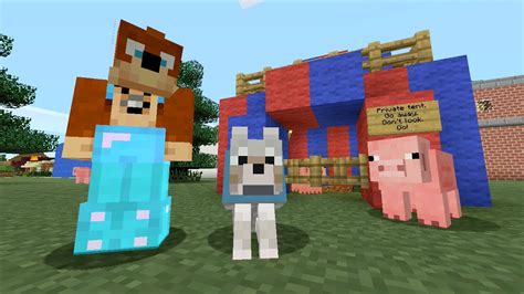 Minecraft Xbox Pig Problem