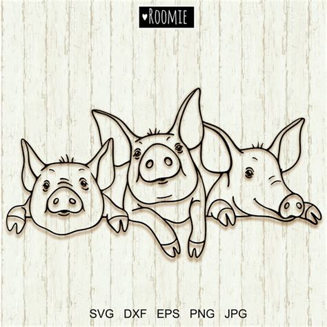Download Mini Pigs SVG File - SVG Design Cameo