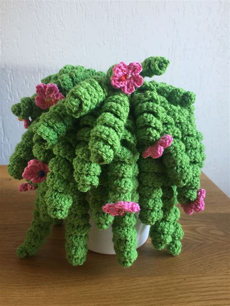 Mini Plant Crochet Pattern Free