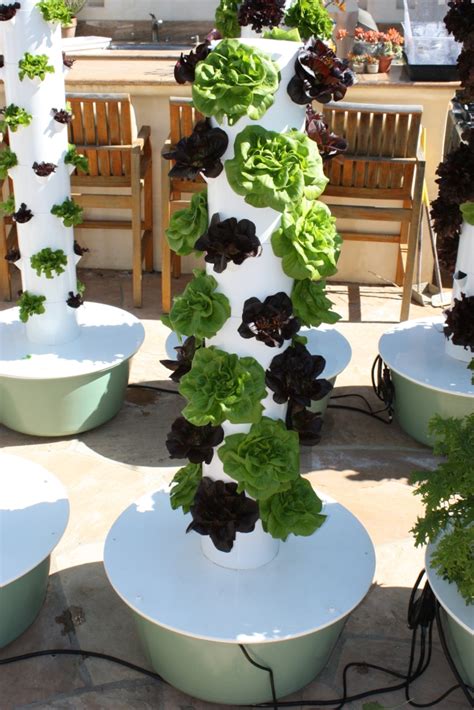 Minimal Soil Requirements Vertical Hydroponics Tower