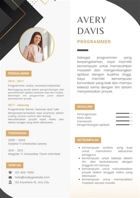 Minimalist Programmer Resume Template