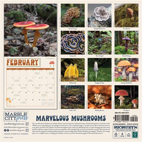 Minnesota Mushroom Calendar