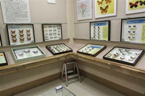 Minoo Park Insect Museum