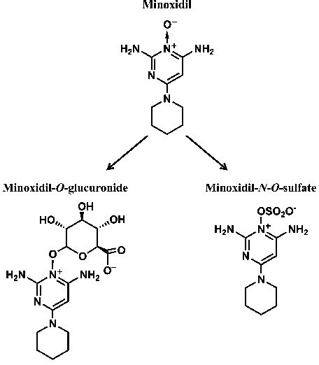 Minoxidil+Structures