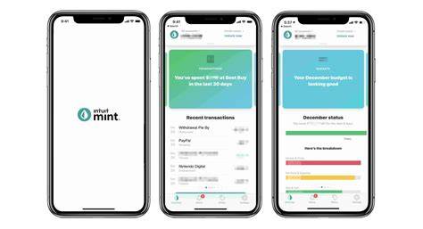 Mint Budget App