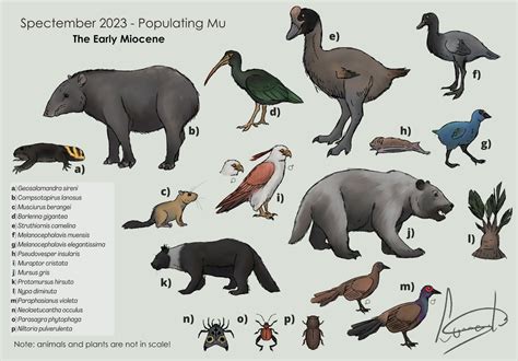 Biodiversity Explosion