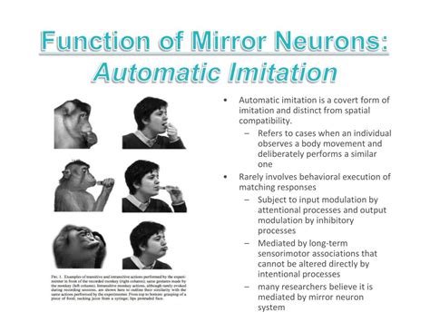 Mirror Neurons and Imitation