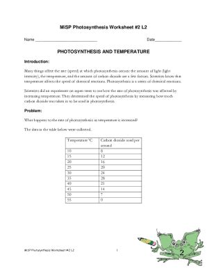 Misp Photosynthesis Worksheet 2 L2 Answers