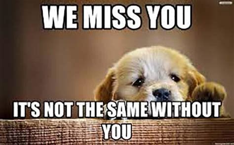 Miss You Heaps Meme